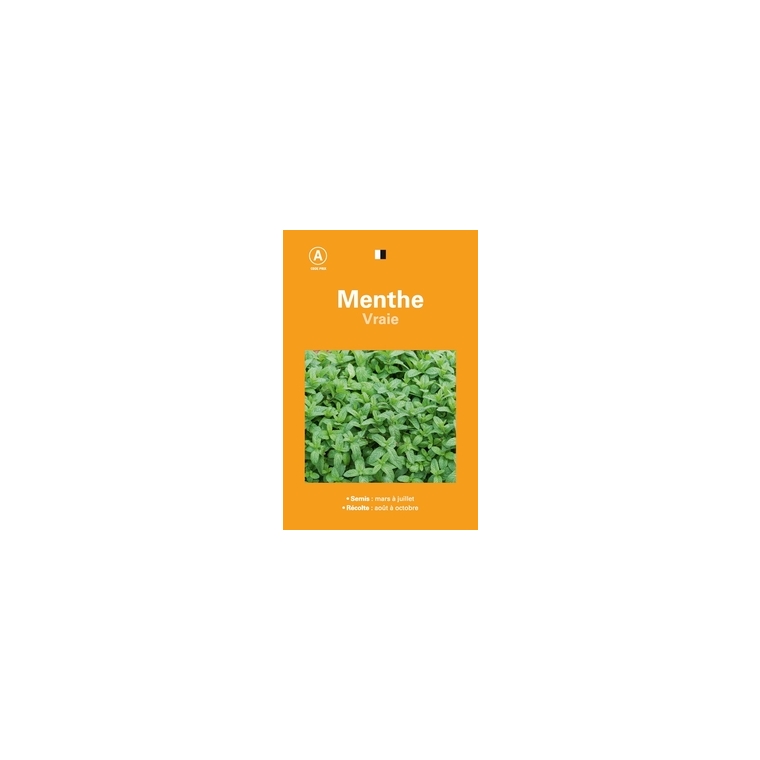 MENTHE VRAIE