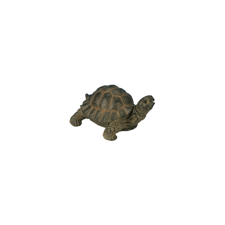 Tortue marron 24 cm