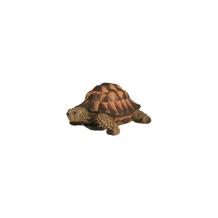 Tortue verte 17cm