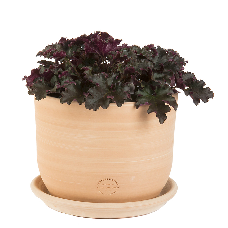 Pot Macetero terre cuite claire D20XH16
