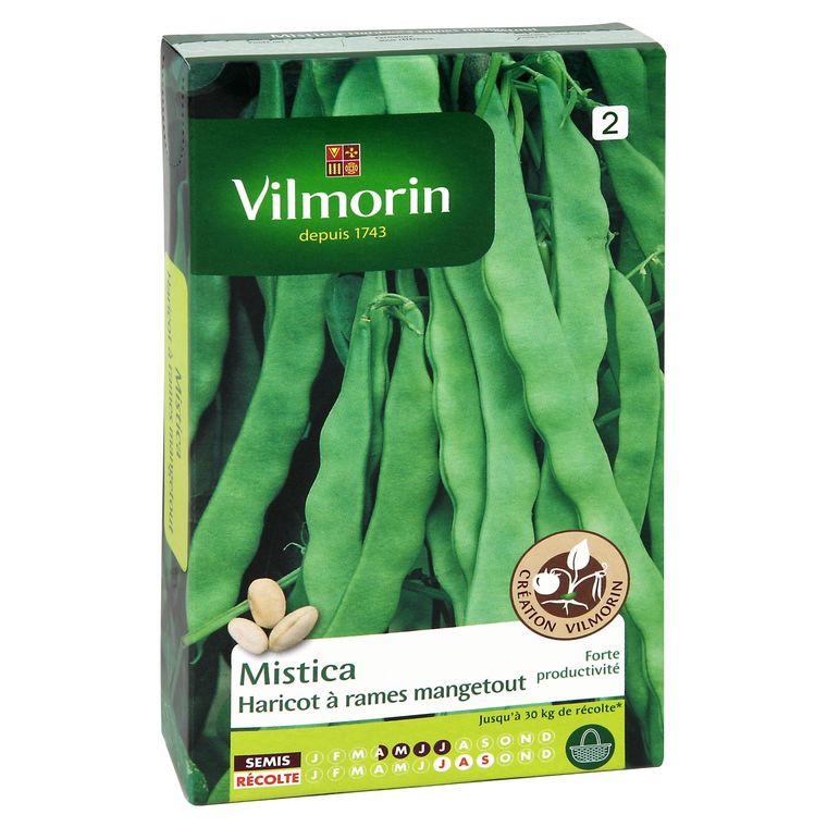 Haricot Mistica 150 g