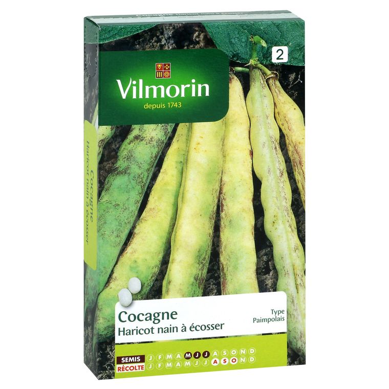 Haricot Cocagne 200 g