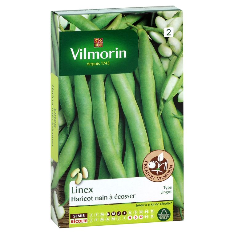 Haricot Linex 200 g