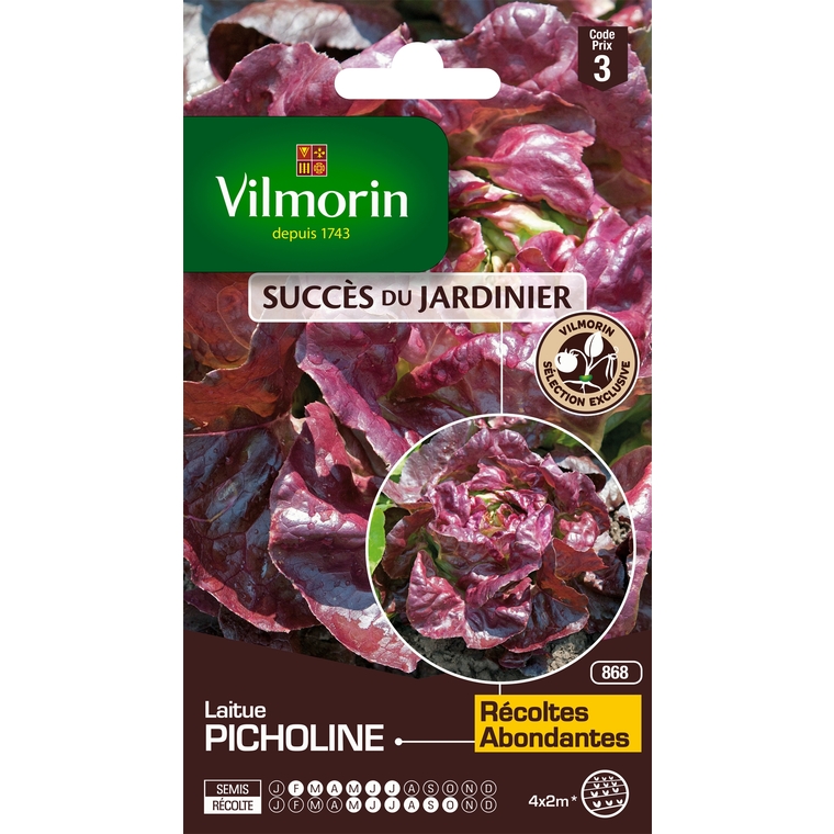 Laitue picholine
