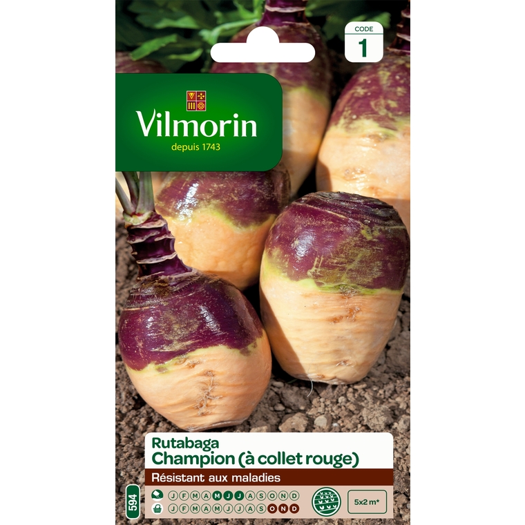 Rutabaga jaune a collet rouge