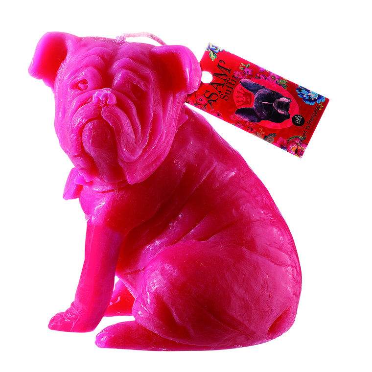 Bougie Chien Sam Pivoine