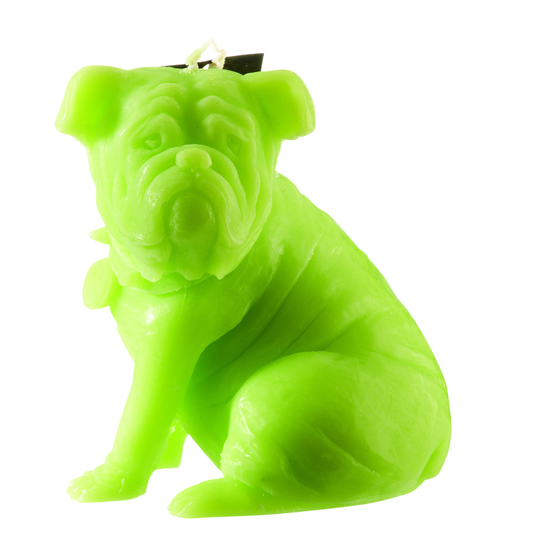 Bougie Chien Sam Vert Anis