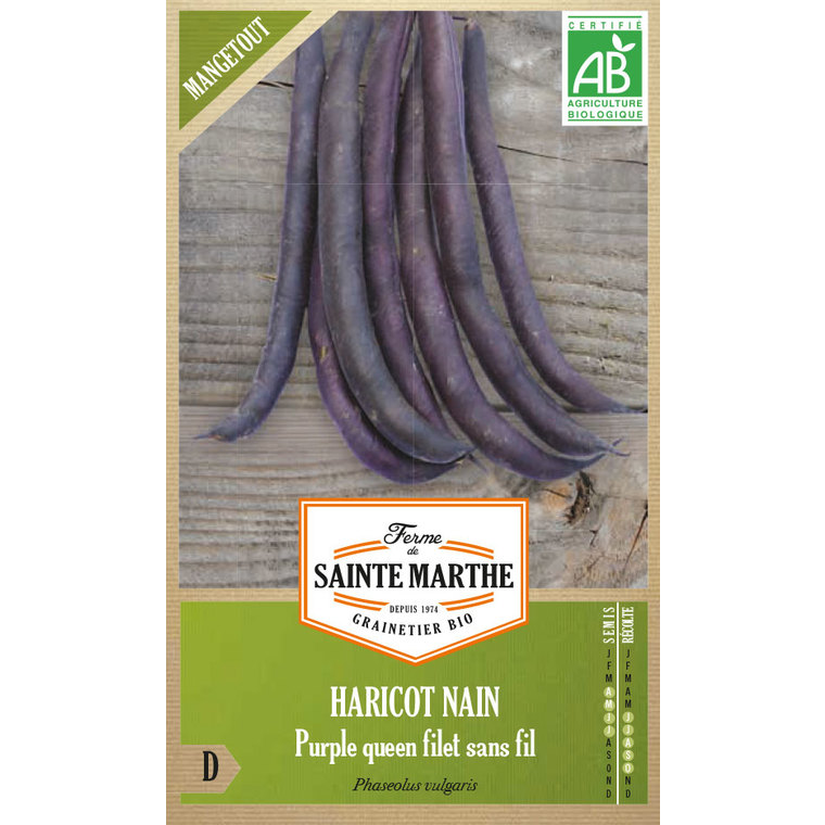 Haricot Nain Purple Queen Bio