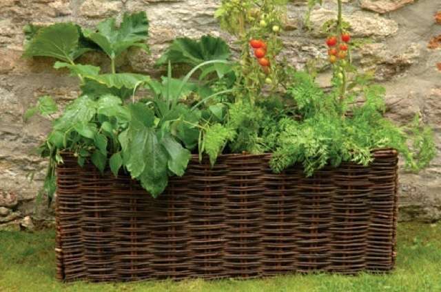 Pot pour LÃ©gumes & Tomate Osier Naturel - Burgon et Ball