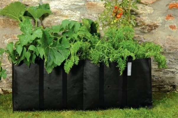 Très Grand Sachet pour Planter des Légumes - pack individuel - Burgon et Ball