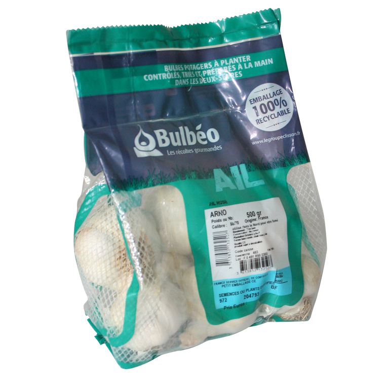 Bulbes d’ail rose arno calibre 50+, 500 g