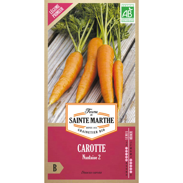 Carotte Potagère Nantaise