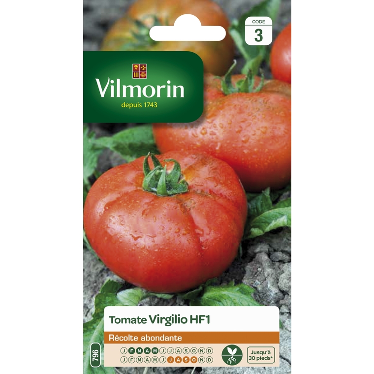 Tomate Virgilio HF1