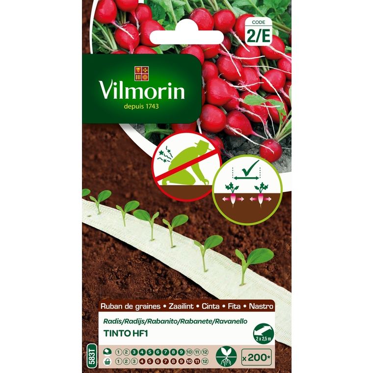 Ruban radis tinto HF1