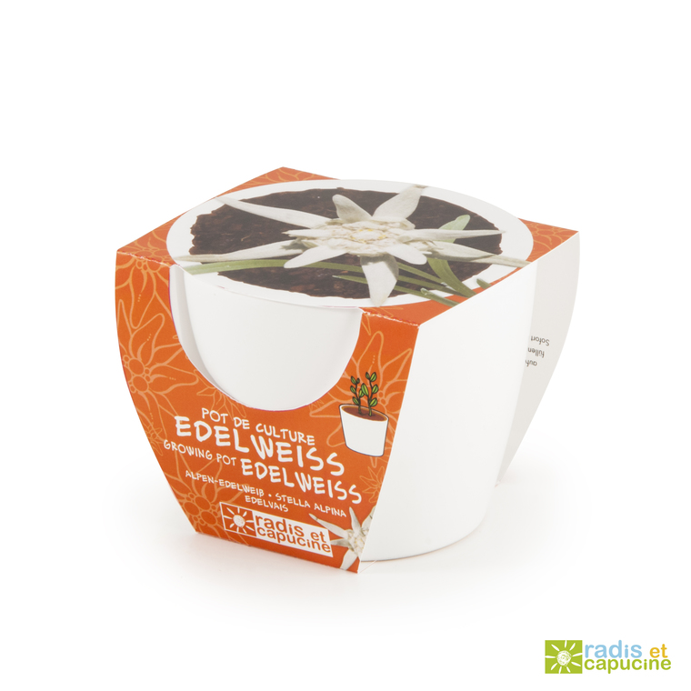 Mini kit céramique Edelweiss