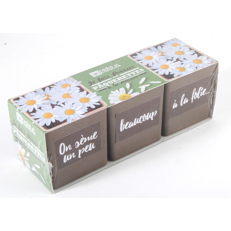 Trio pots Pâquerette Bio