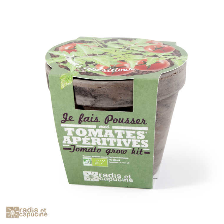 Pot terre cuite Tomate Cerise Bio
