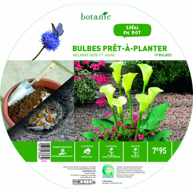 19 bulbes en mélange prêt à planter – Rose/Jaune