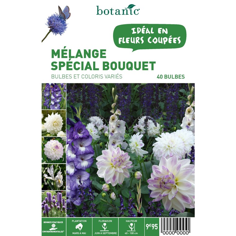 40 bulbes de Mélange spécial Bouquet – Couleurs Variées
