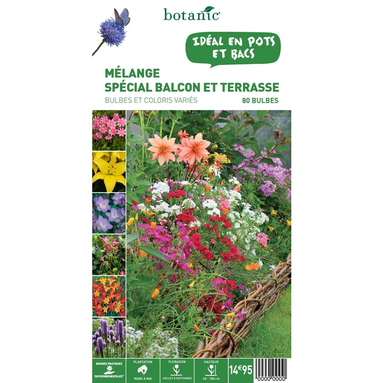 80 bulbes de Mélange spécial Balcon Terrasse – Couleurs Variées