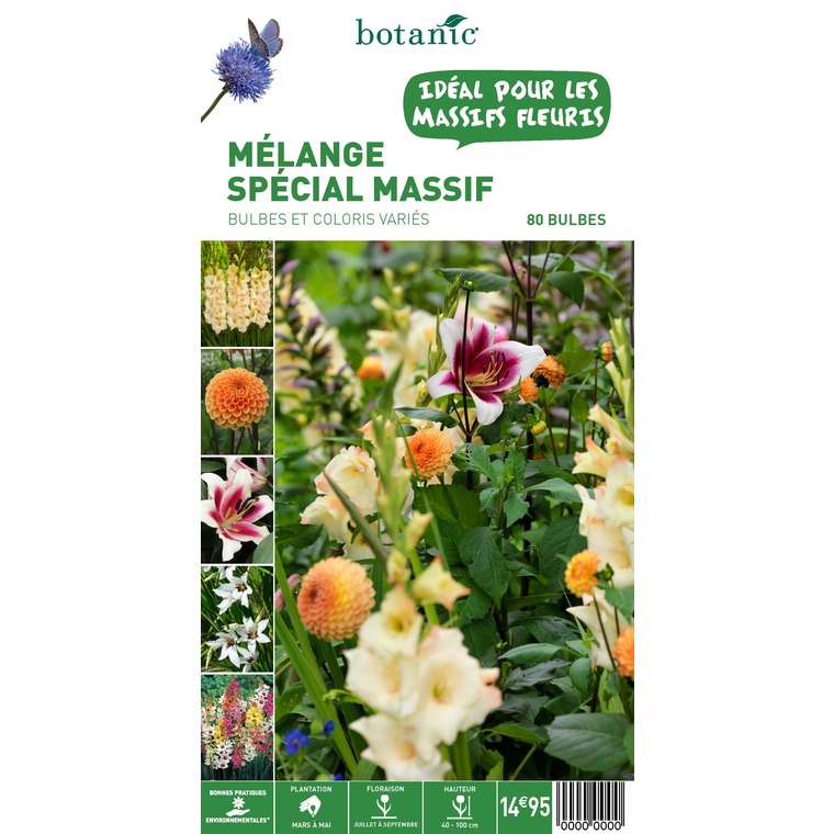 80 bulbes de Mélange spécial Massif – Couleurs Variées