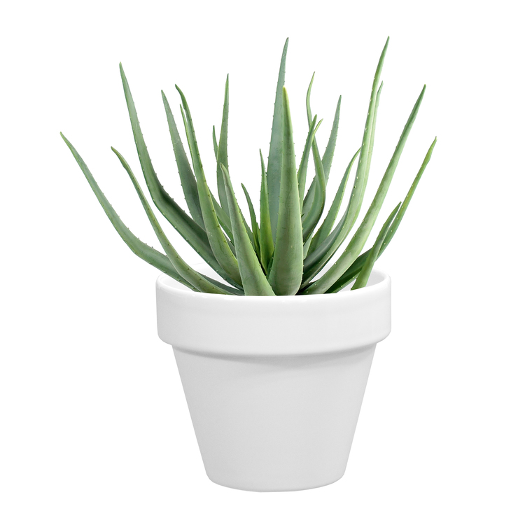 Pot horticole en terre cuite émaillée Blanc - D10 x H8.5