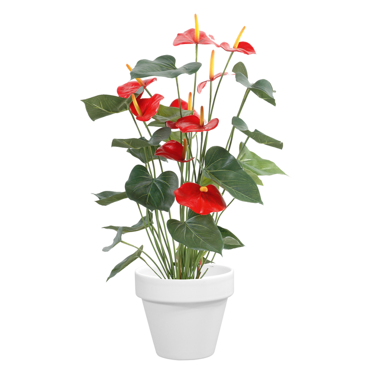 Pot horticole en terre cuite émaillée Blanc – D25 x H23