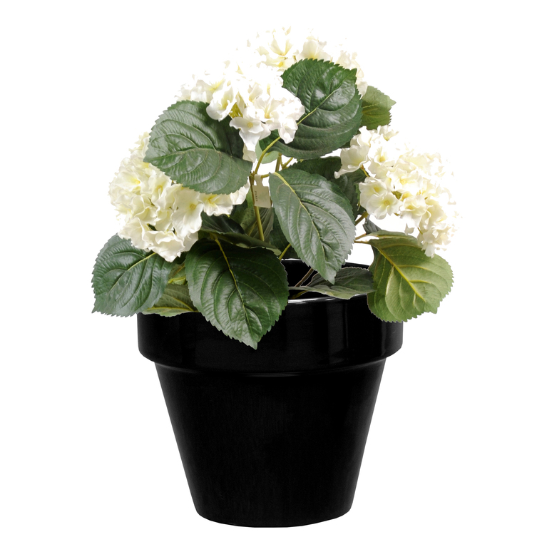 Pot horticole en terre cuite émaillée Noir – D19 x H17