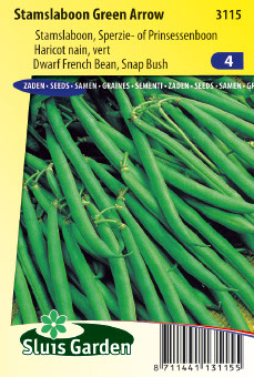 Haricot nain Green Arrow