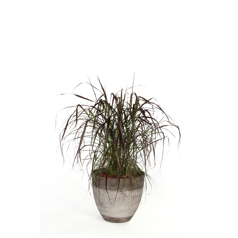 Petit pot rond Echo taupe 21,7L