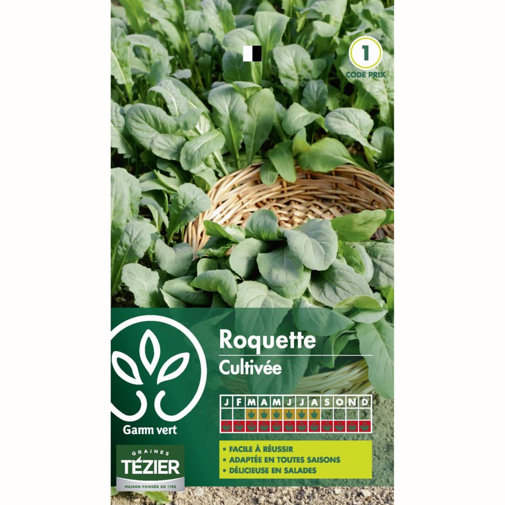 Roquette cultivée