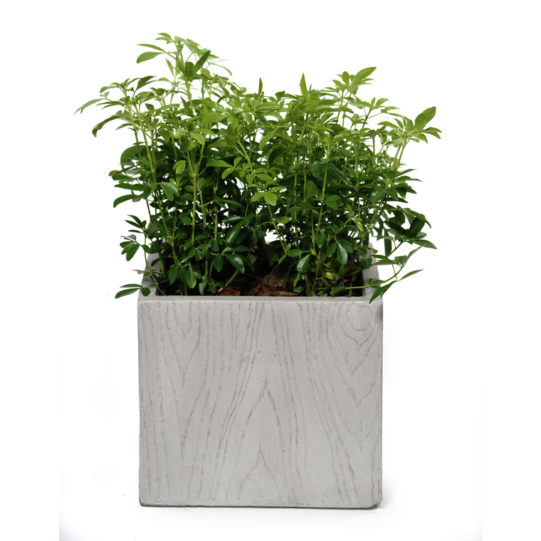 Pot carré haut moyen large LIA gris beige 34,68L