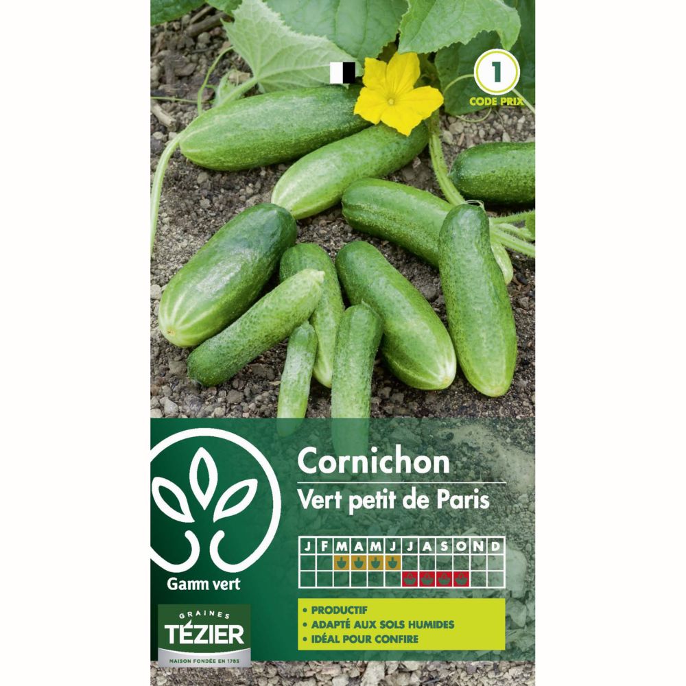 Cornichon 'Vert Petit de Paris'