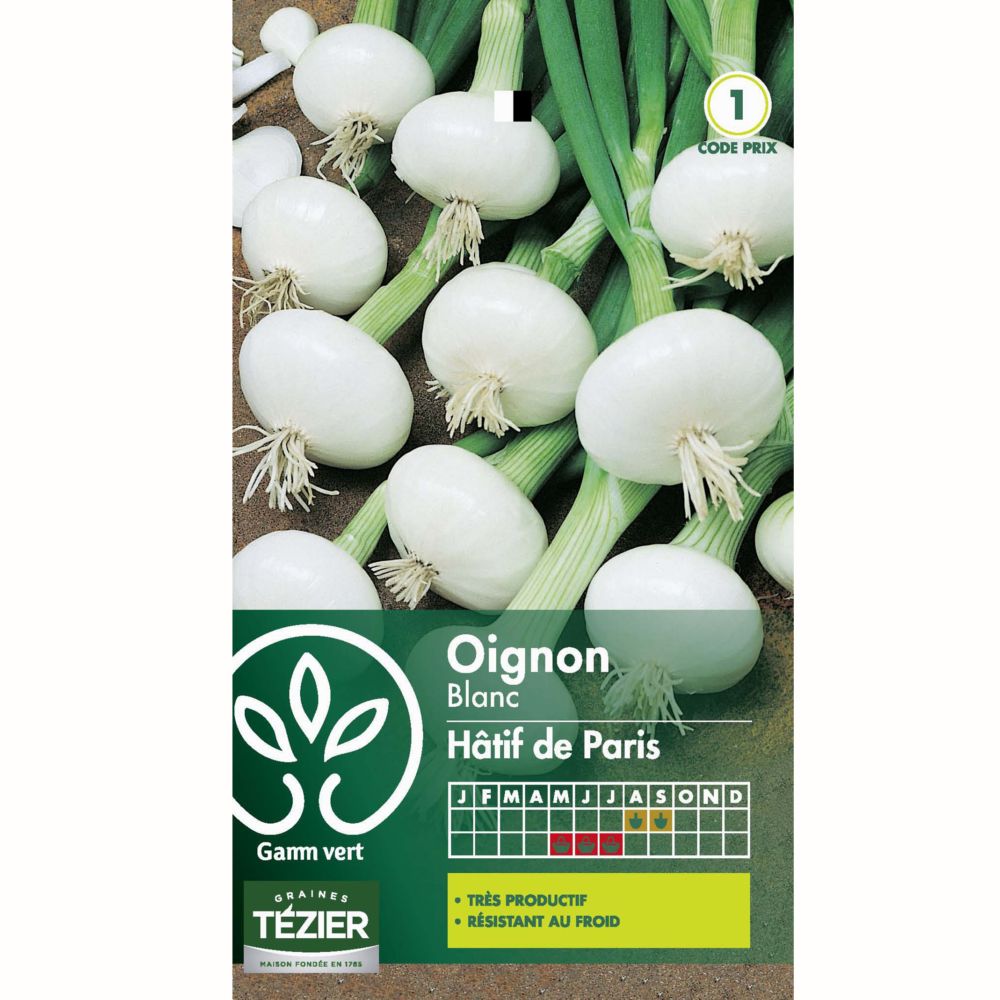 Oignon Blanc Hâtif de Paris