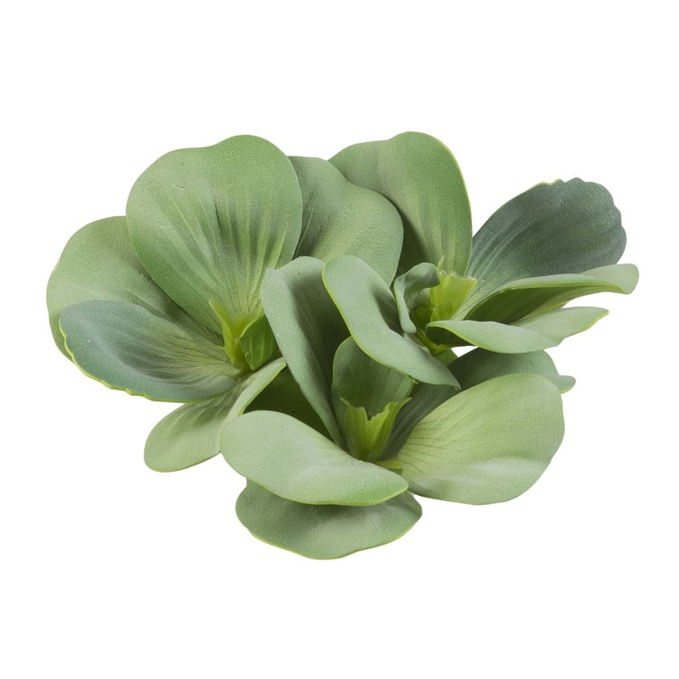 Plante de bassin Pistia verte artificielle - 17 cm