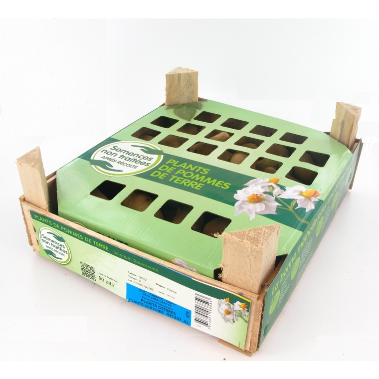 Pommes de terre Sarpo Mira calibre 28/35, 60 plants