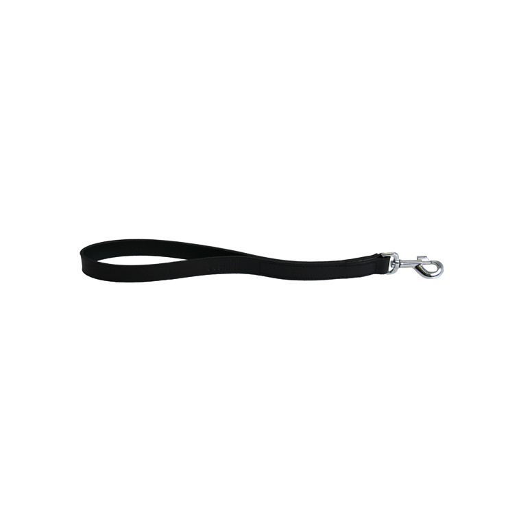 Laisse chien courte 25 mm / 50 cm
