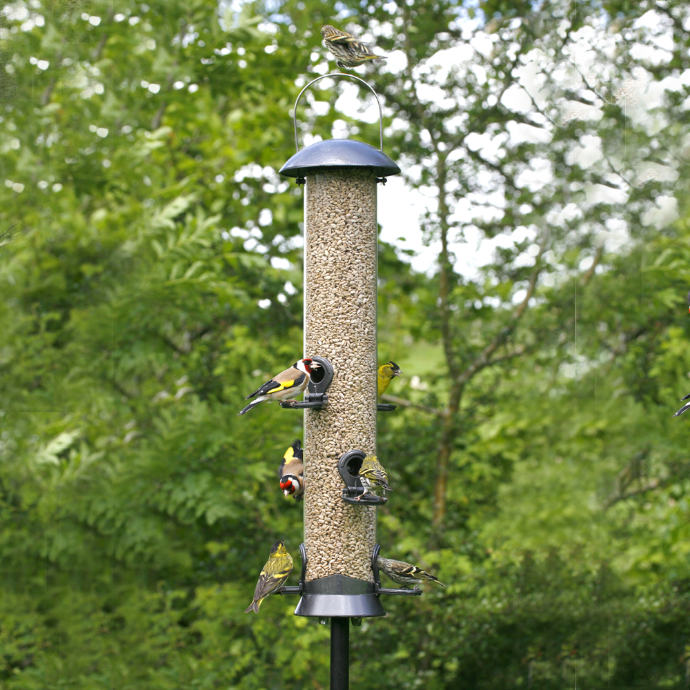 Silo Explorateur graines 55 cm