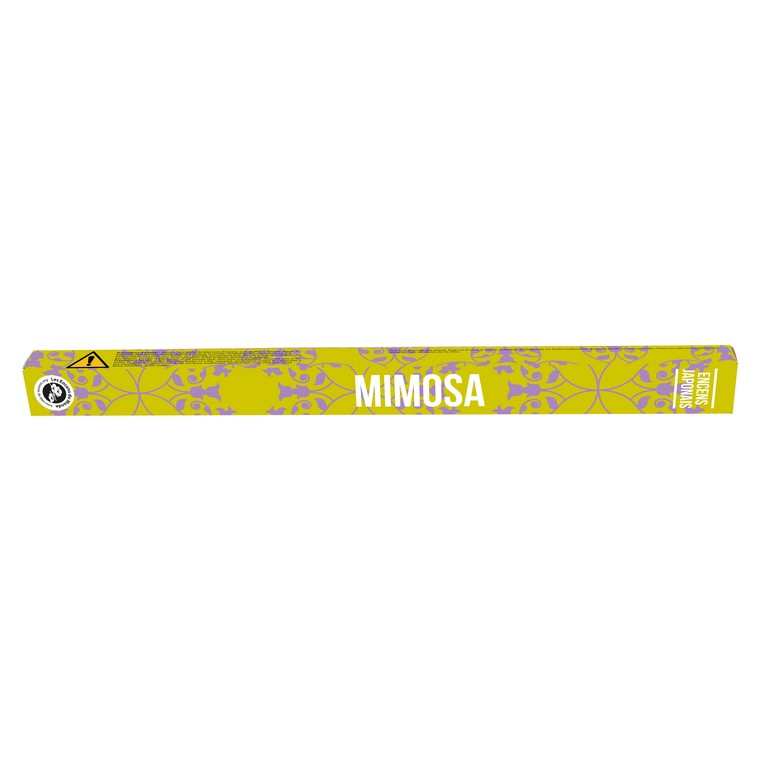 Encens découverte mimosa