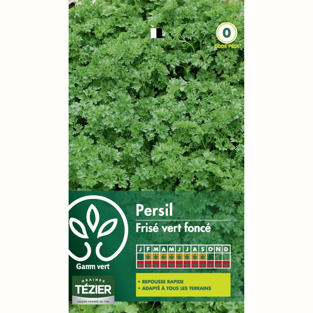 Persil frisé Vert Foncé Verbo