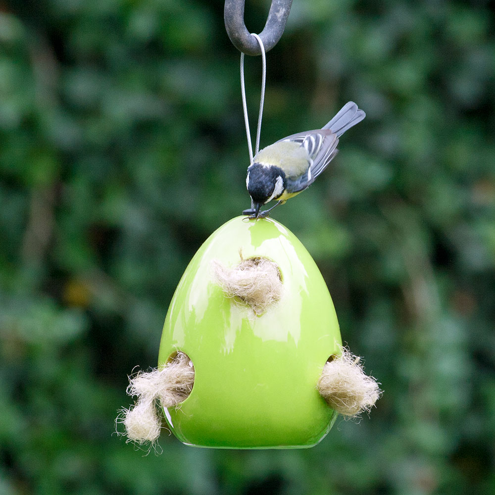 Fiesta Distributeur Vert