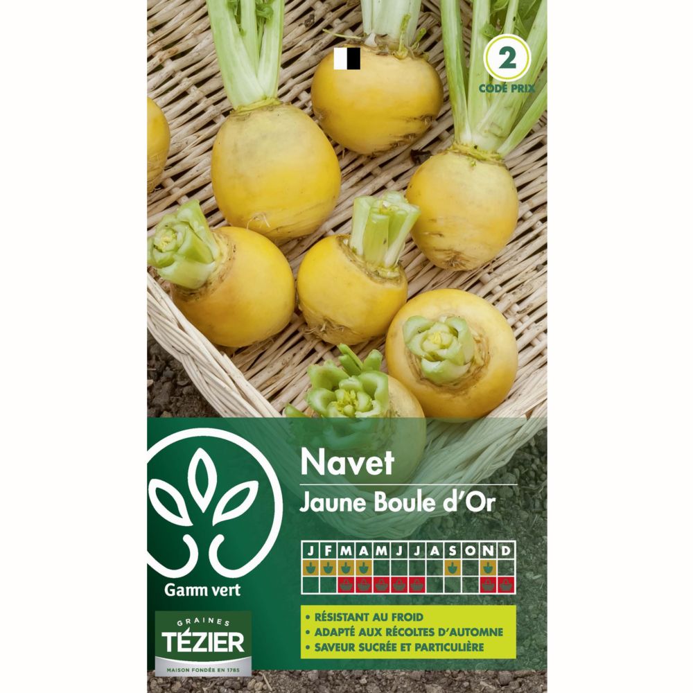 Navet Boule d'Or