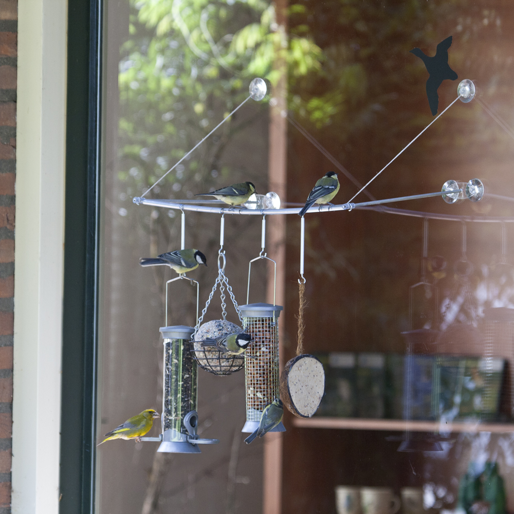 Restaurant « BirdSwing »