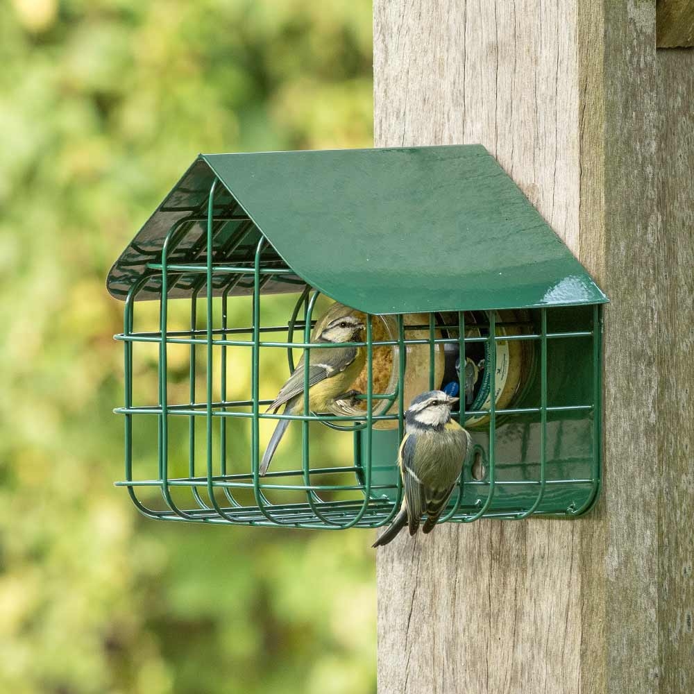 Support pour pot de beurre de cacahuètes avec protection Waterford