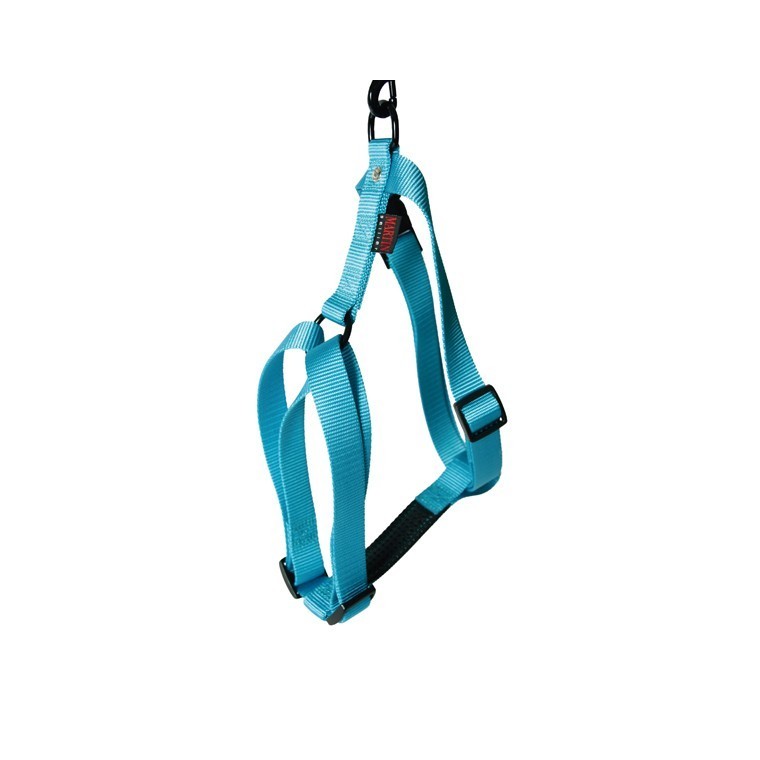 Harnais Turquoise 25/35cm Martin Sellier