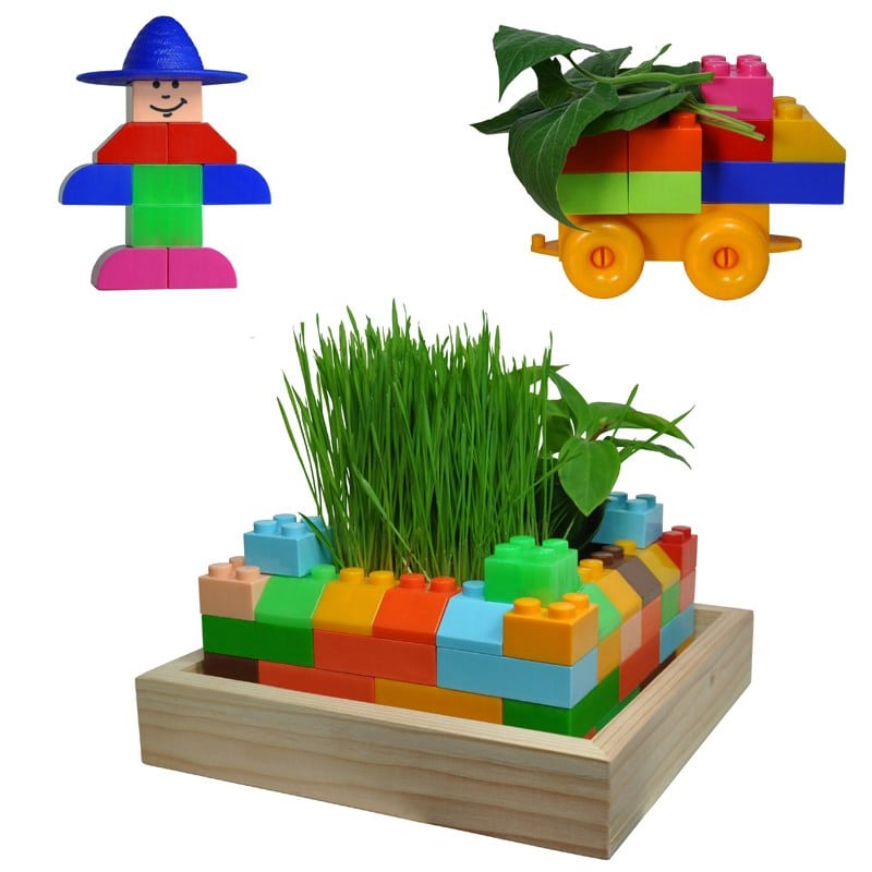 Mon 1er carré potager à construire