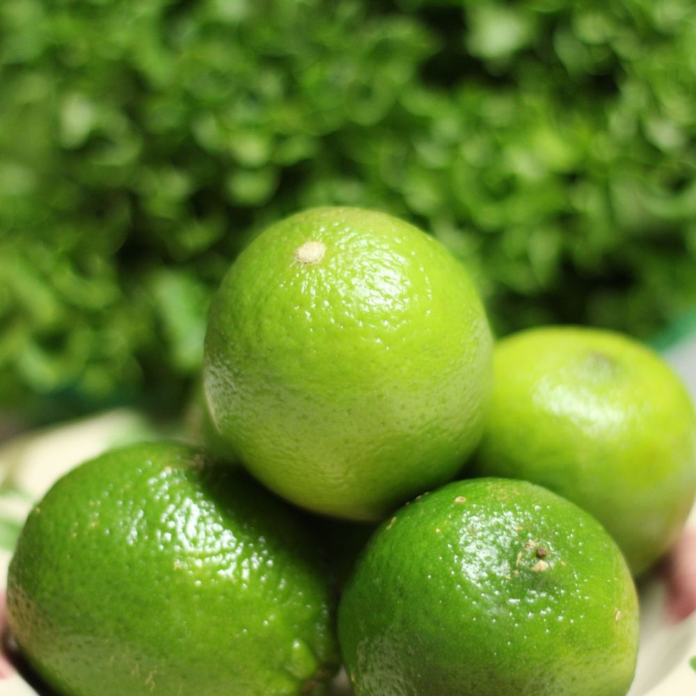 Lime de Tahiti