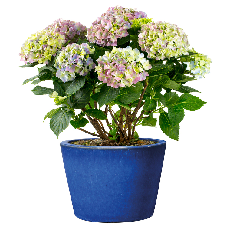 Pot rond bleu gamme Flamenco Ø 34 cm