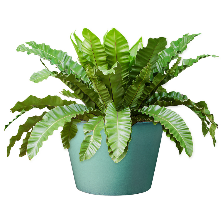 Pot rond vert gamme Flamenco Ø 21 cm