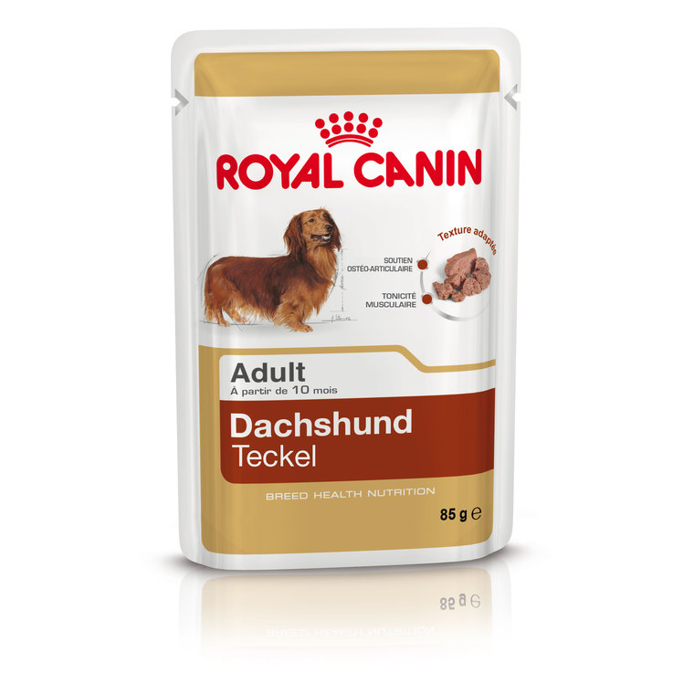 Sachet de nourriture pour Teckel Adulte Royal Canin - 85 gr
